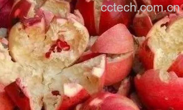 石榴皮煮水的6个功效-0