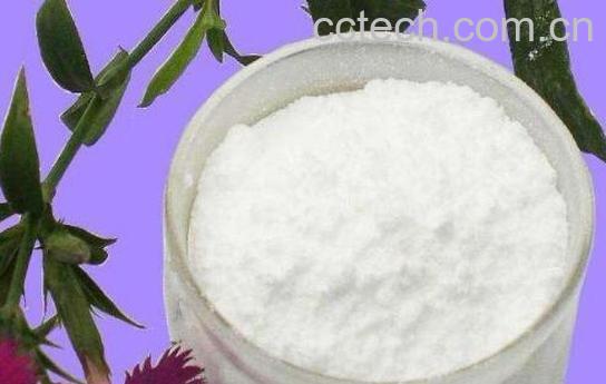 茶氨酸含量高的茶叶有哪些 茶氨酸的好处-0