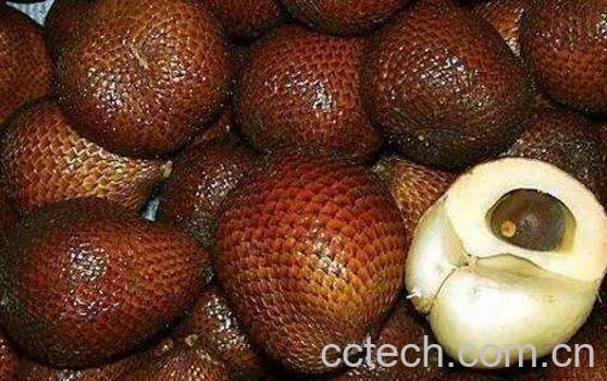 蛇皮果好吃吗 蛇皮果怎么吃-0