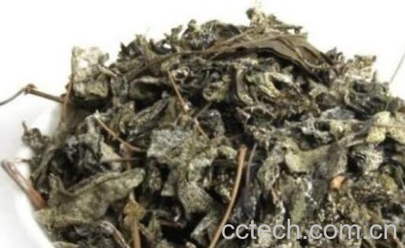 藤婆茶的功效与作用-0