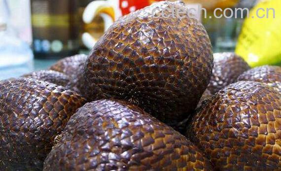 蛇皮果的功效与作用及食用禁忌-0