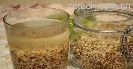 薏仁茶的功效与作用及禁忌-0