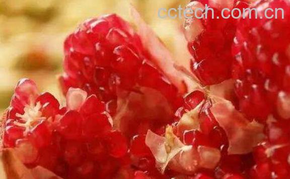 大石榴的功效与作用-1