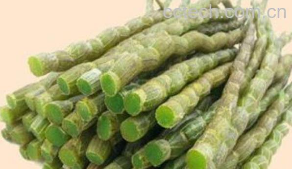 鲜石斛怎么保存 鲜石斛的保存方法-0