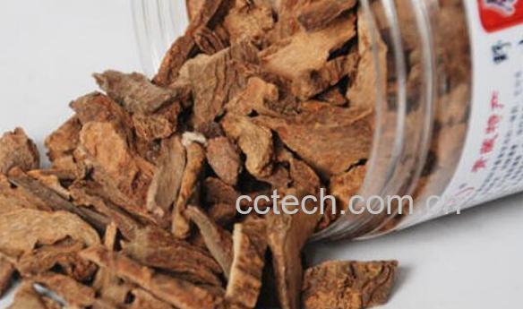 锁阳茶的功效与作用 喝锁阳茶的好处-0