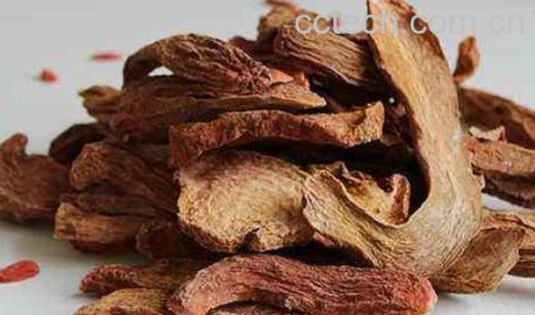 锁阳茶的功效与作用 喝锁阳茶的好处-1