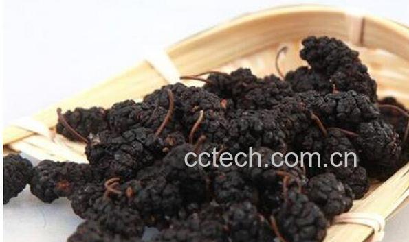 黑桑葚泡水的功效与作用-1