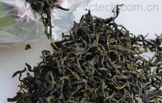 碎铜茶的功效与作用 碎铜茶有什么危害-0