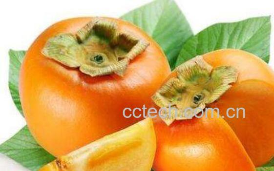 柿子不能和什么一起吃 吃柿子不能吃什么-1