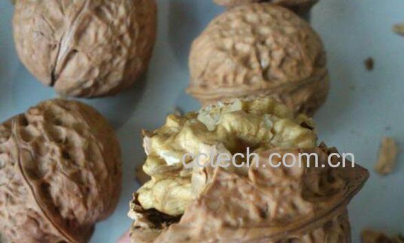 核桃的功效与作用 吃核桃的好处有哪些-1