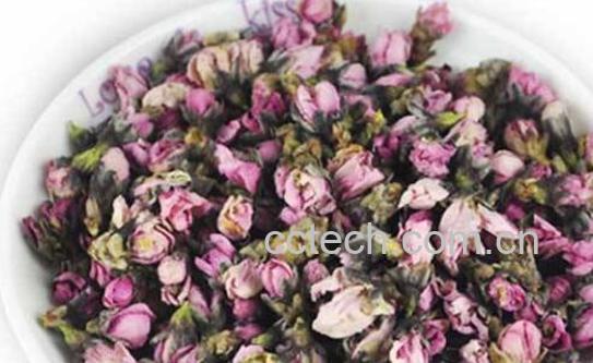 桃花茶的功效与作用 桃花茶的禁忌-0