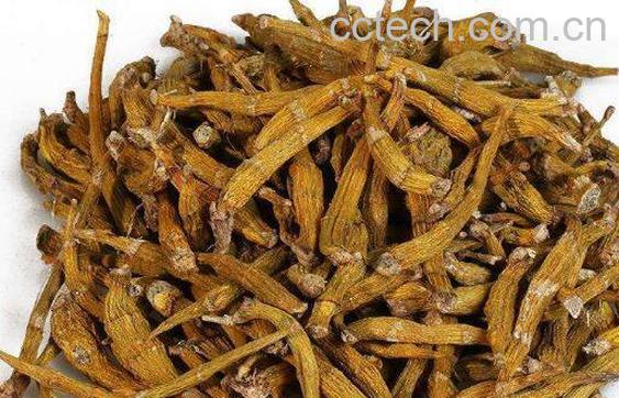 干石斛怎样吃效果最好 干石斛怎么煲汤-1