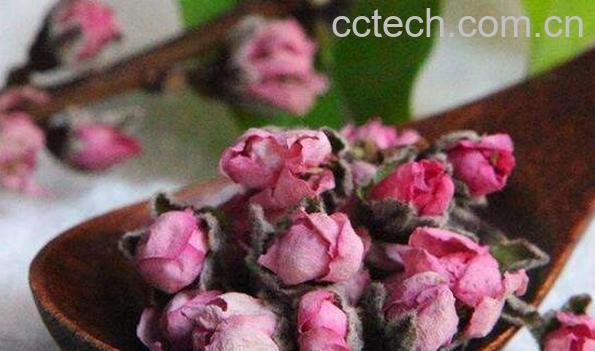 自制桃花茶怎么做 自制桃花茶的好处-0