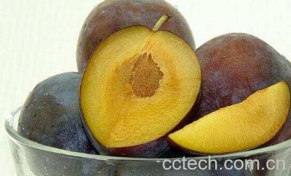  美国西梅的功效与作用-0