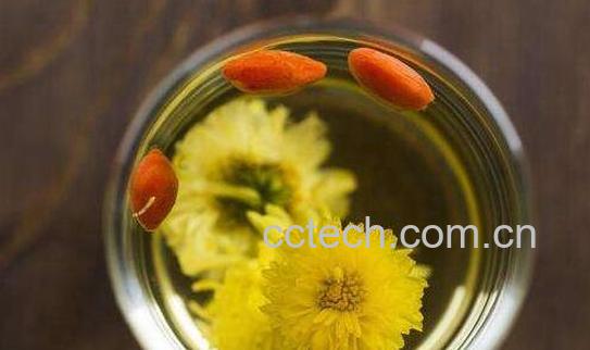 念露菊的功效与作用及禁忌-1