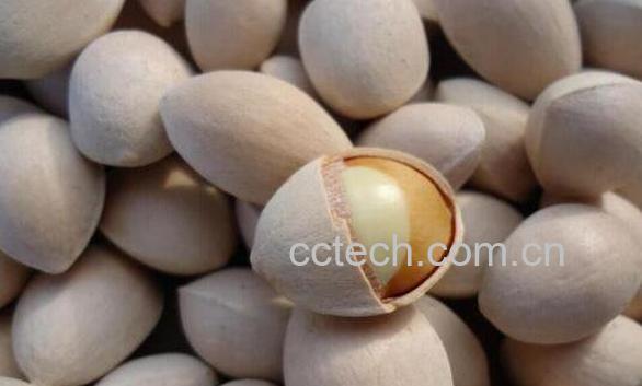 新鲜白果怎么去壳去皮 白果最简单的去壳方法-1