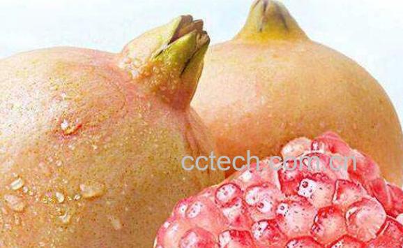 酸石榴籽的功效与作用-1