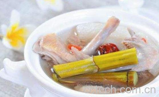 石斛煲汤怎么做 石斛煲汤的做法大全-0