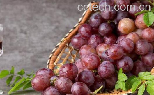 无籽葡萄的功效与作用-0