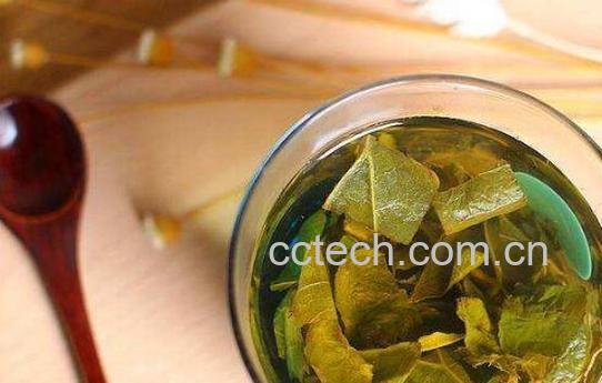 冬瓜荷叶茶有什么作用-1