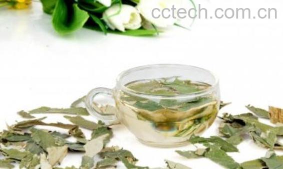 冬瓜荷叶茶有什么作用-0
