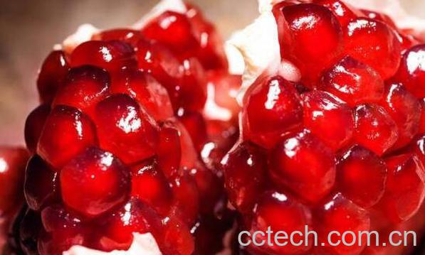 软籽石榴的功效和作用-1