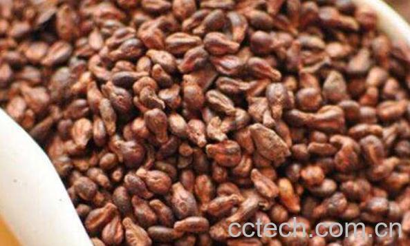 葡萄籽的功效与作用 吃葡萄籽有什么好处-0