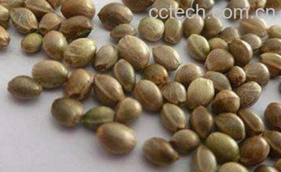 通便茶有哪些 通便茶几个小时起作用-1