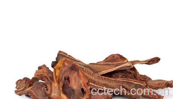 狗脊茶的功效与作用及副作用-0