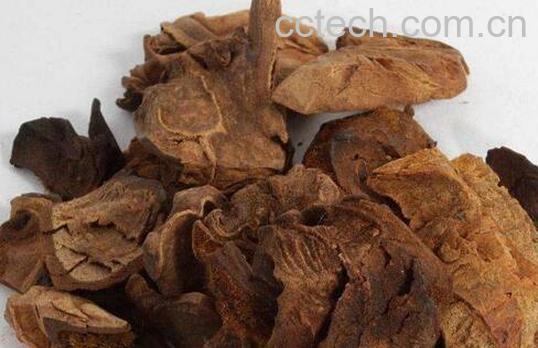 狗脊茶的功效与作用及副作用-1