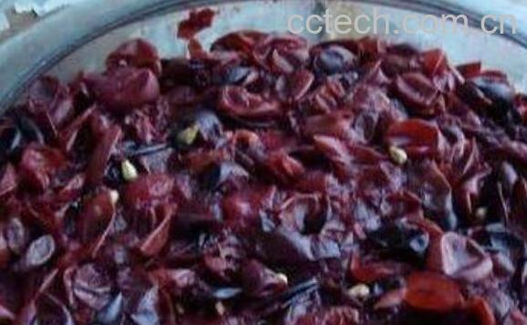 葡萄皮可以吃吗 吃葡萄皮的好处和坏处-0