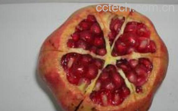 怎么剥石榴快速简单 怎么剥石榴不染手-1