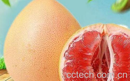 红西柚的功效与作用-0