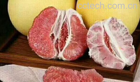 红西柚的功效与作用-1