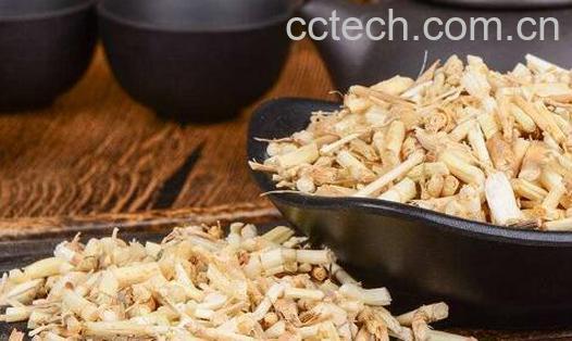 白茅根茶的功效与作用-1