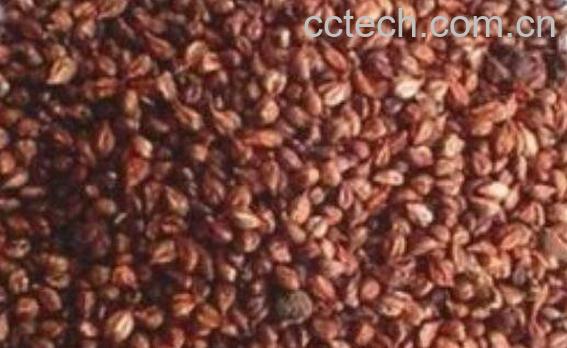 葡萄籽怎么吃 葡萄籽怎么食用-0