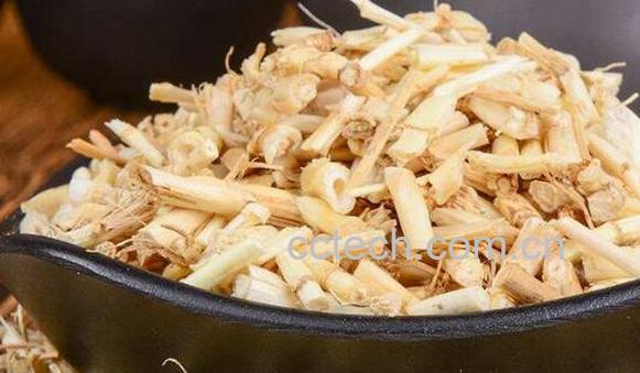 白茅根茶的功效与作用-0