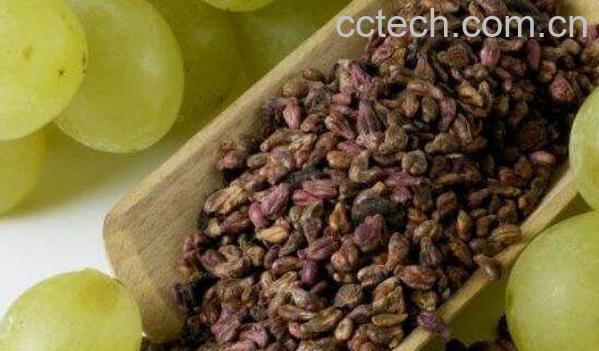 葡萄籽的功效与作用及食用禁忌-0