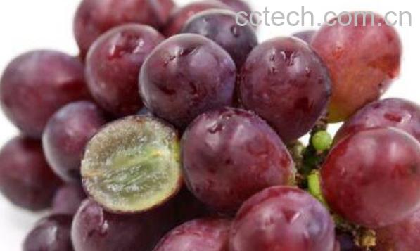 21点一元购羽绒服 ￥T5Sdb8yswtk￥ 注意，只限之前领了100元优惠卷的才可以参与，付款一元价格不对就是没有领 羽绒服付款应该是11元有10元邮费-1