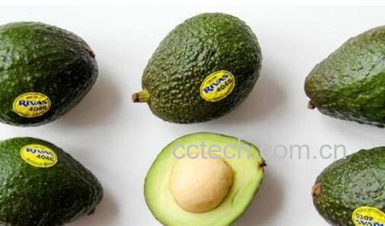 牛油果的营养价值 牛油果的功效与作用-1