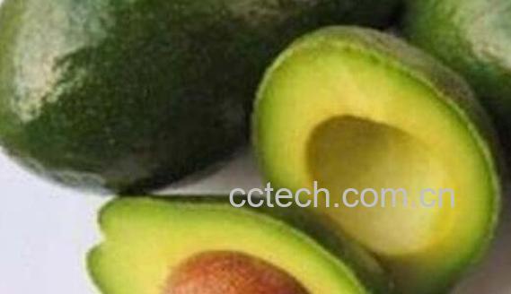 牛油果的营养价值 牛油果的功效与作用-0