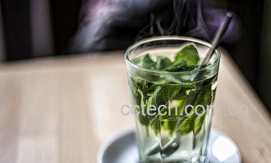 薄荷绿茶如何做 薄荷绿茶的做法窍门-1