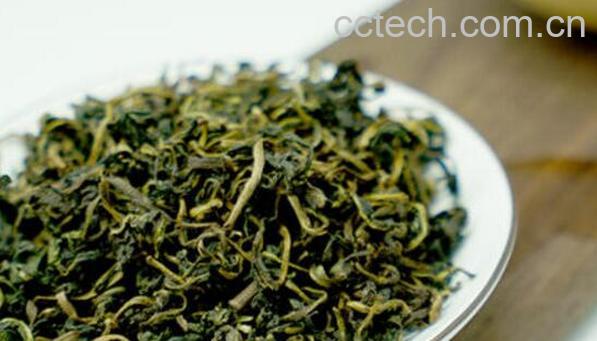 白鼓丁茶的功效与作用-0