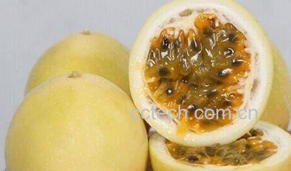 黄金百香果的营养价值与功效-0