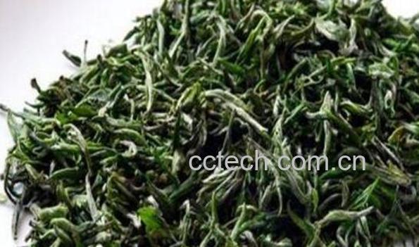绿茶如何选购 如何选择好的绿茶-0