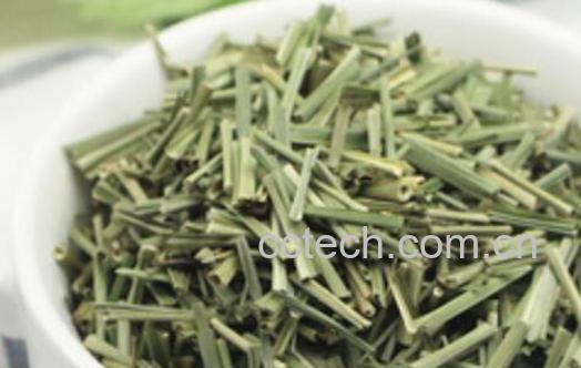 香茅草茶的功效与作用 香茅草茶的禁忌-1