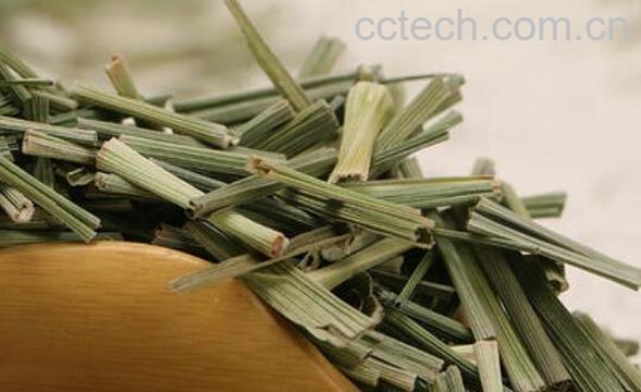 香茅草茶的功效与作用 香茅草茶的禁忌-0