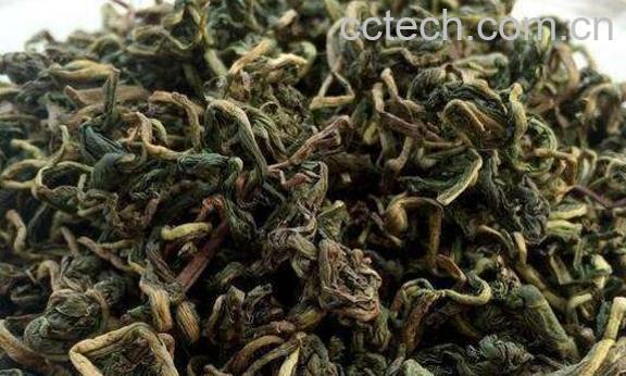 女性喝蒲公英茶的功效与作用及禁忌-0