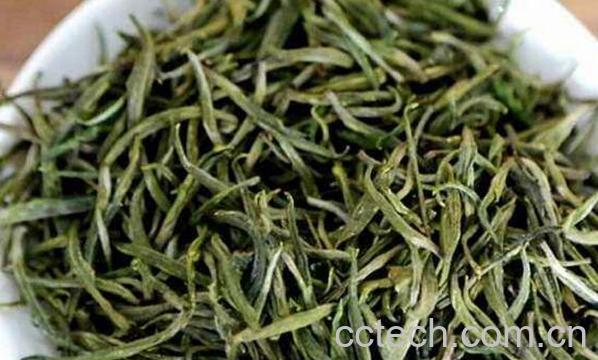 松针绿茶的功效与作用 松针绿茶怎么喝-0