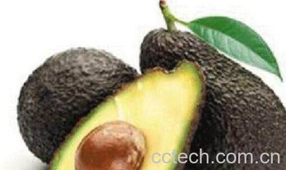 牛油果油如何食用 牛油果油怎么吃-1